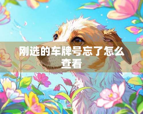 刚选的***忘了怎么查看