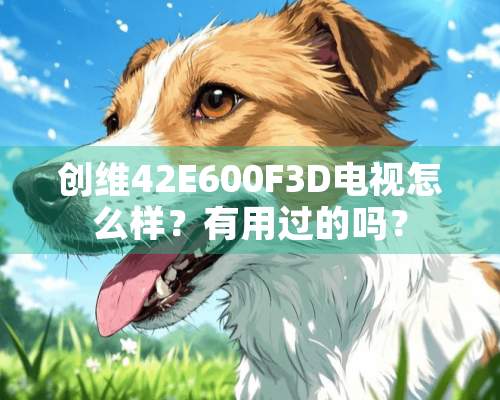 创维42E600F3D电视怎么样？有用过的吗？