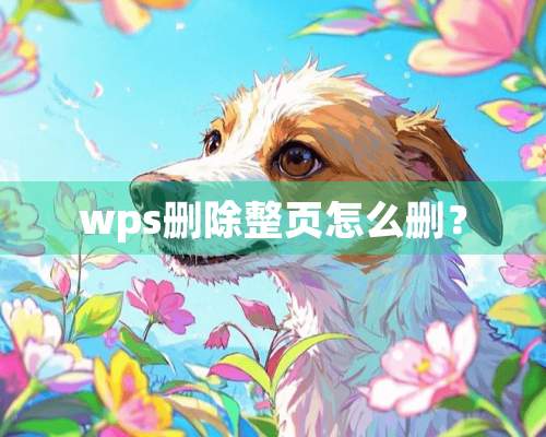 wps删除整页怎么删？