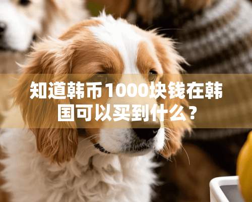 知道韩币1000块钱在韩国可以买到什么？