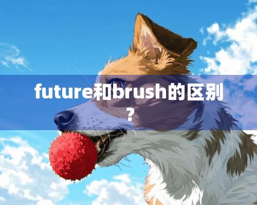 future和brush的区别？