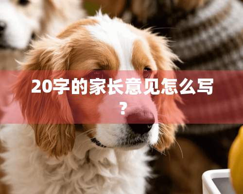 20字的家长意见怎么写？