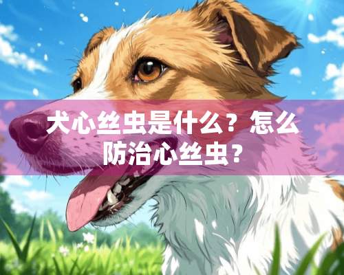 犬心丝虫是什么？怎么防治心丝虫？