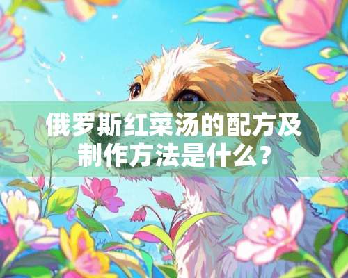 俄罗斯红菜汤的配方及制作方法是什么？