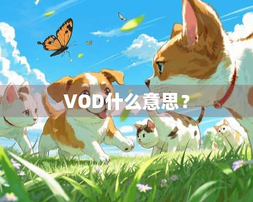 VOD什么意思？