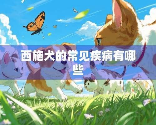 西施犬的常见疾病有哪些