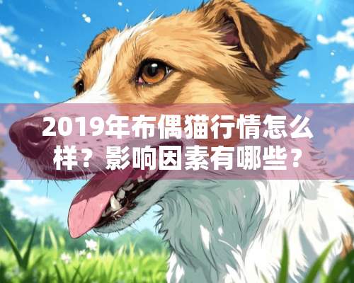 2019年布偶猫行情怎么样？影响因素有哪些？