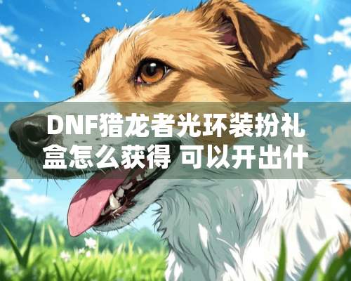 DNF猎龙者光环装扮礼盒怎么获得 可以开出什么光环一览