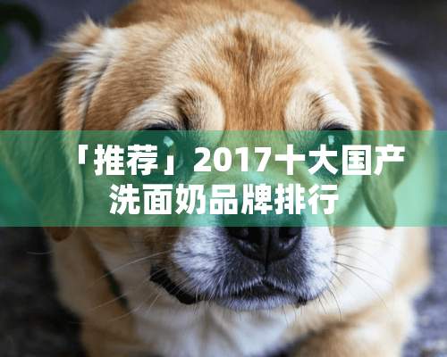 「推荐」2017十大国产洗面奶品牌排行