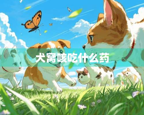 犬窝咳吃什么药