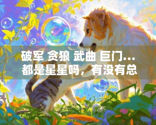 破军 贪狼 武曲 巨门... 都是星星吗，有没有总称？好像总是出现在一起