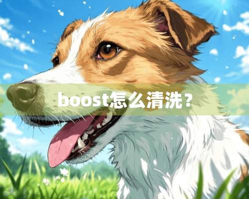 boost怎么清洗？