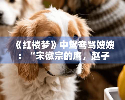 《红楼梦》中鸳鸯骂**：“宋徽宗的鹰，赵子昂的马”是什么意思？