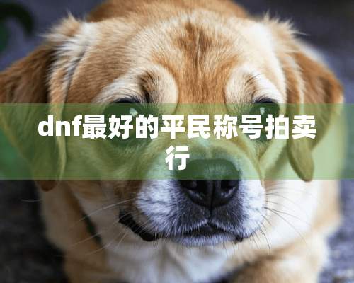 dnf最好的平民称号拍卖行