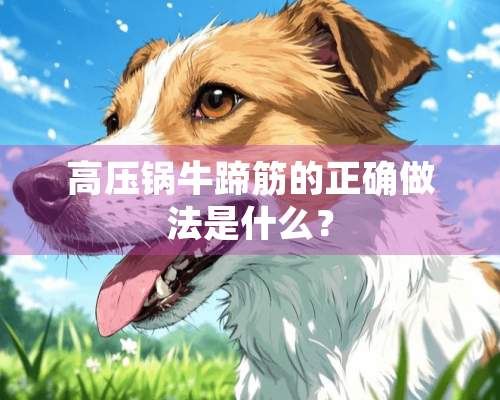 高压锅牛蹄筋的正确做法是什么？