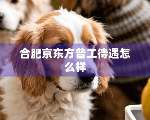 合肥京东方普工待遇怎么样