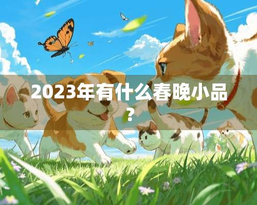 2023年有什么春晚小品？