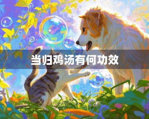 当归鸡汤有何功效