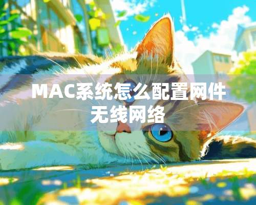 MAC系统怎么配置网件无线网络