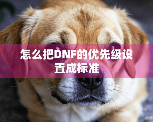 怎么把DNF的优先级设置成标准