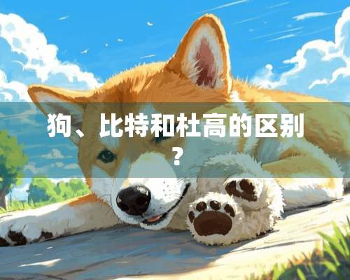 狗、比特和杜高的区别？