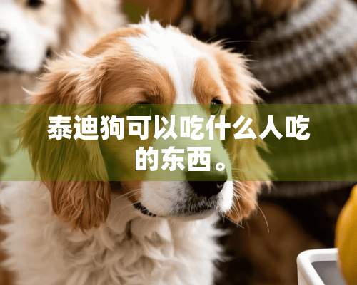 泰迪狗可以吃什么人吃的东西。