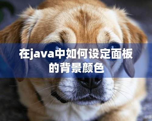 在java中如何设定面板的背景颜色