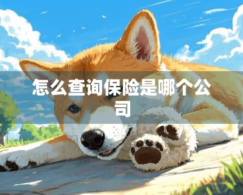 怎么查询保险是哪个公司