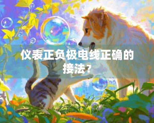 仪表正负极电线正确的接法？