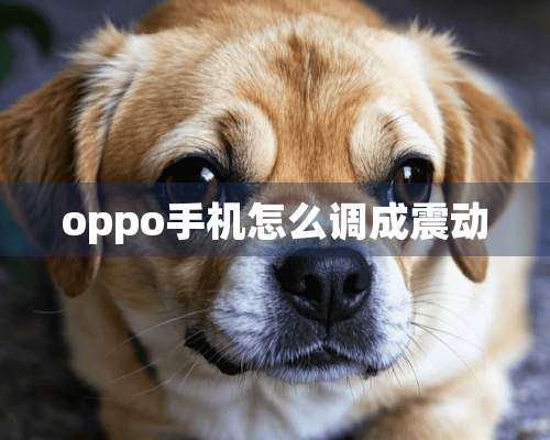 oppo手机怎么调成震动