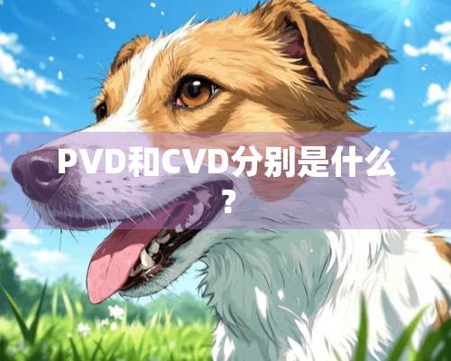 PVD和CVD分别是什么？