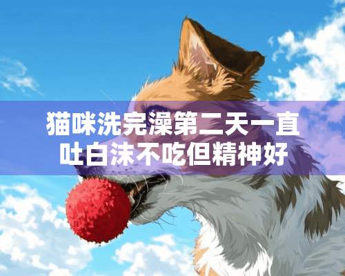 猫咪洗完澡第二天一直吐白沫不吃但精神好