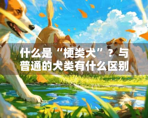 什么是“梗类犬”？与普通的犬类有什么区别？