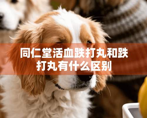 同仁堂活血跌打丸和跌打丸有什么区别