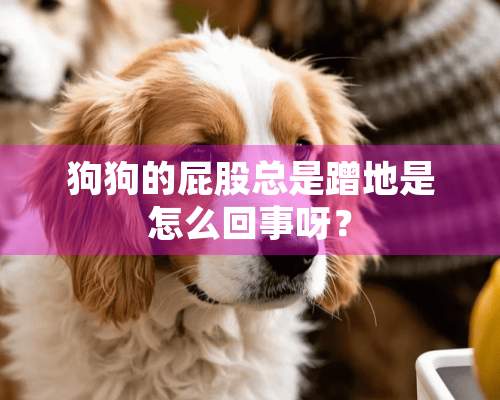 狗狗的屁股总是蹭地是怎么回事呀？