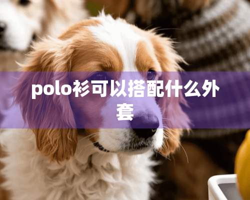 polo衫可以搭配什么外套