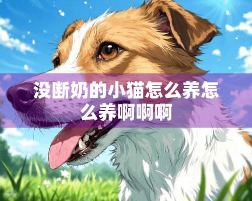 没断奶的小猫怎么养怎么养啊啊啊