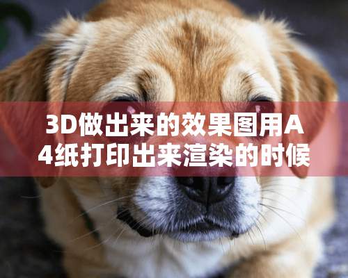 3D做出来的效果图用A4纸打印出来渲染的时候应该用什么尺寸？