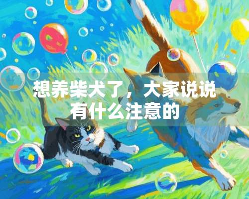 想养柴犬了，大家说说有什么注意的