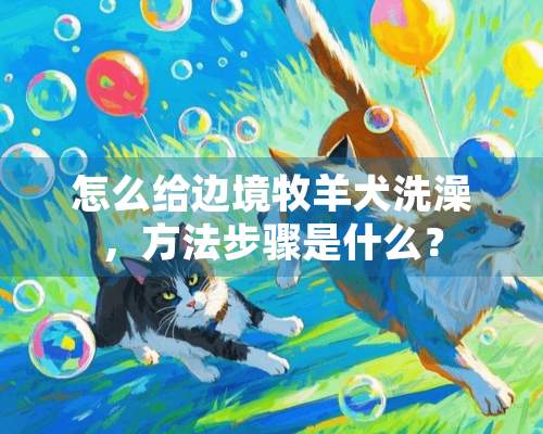 怎么给边境牧羊犬洗澡，方法步骤是什么？