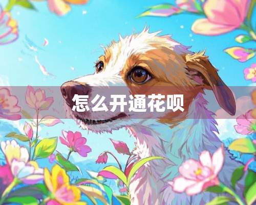 怎么开通花呗