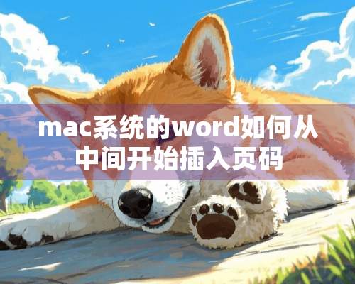 mac系统的word如何从中间开始插入页码