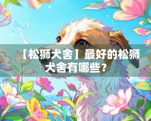 【松狮犬舍】最好的松狮犬舍有哪些？