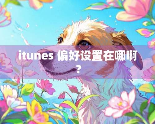 itunes 偏好设置在哪啊？