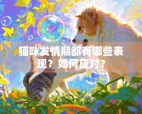 猫咪发情期都有哪些表现？如何应对？