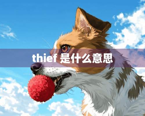 thief 是什么意思