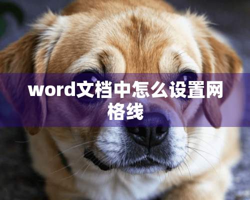 word文档中怎么设置网格线