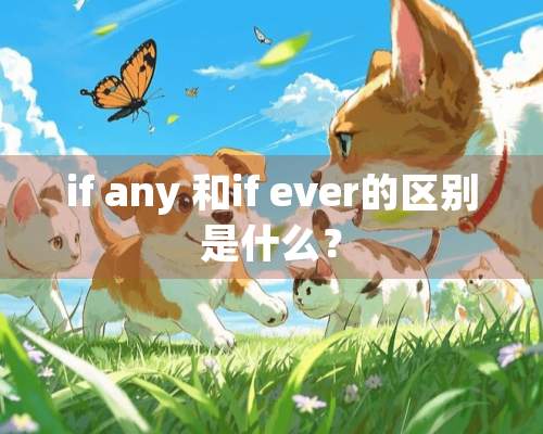 if any 和if ever的区别是什么？