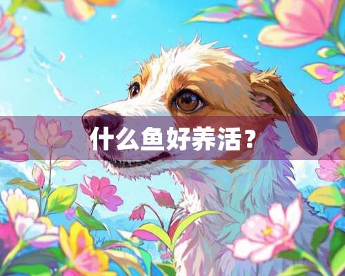 什么鱼好养活？