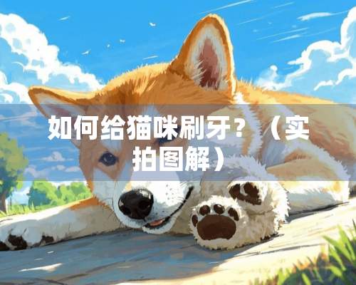 如何给猫咪刷牙？（实拍图解）